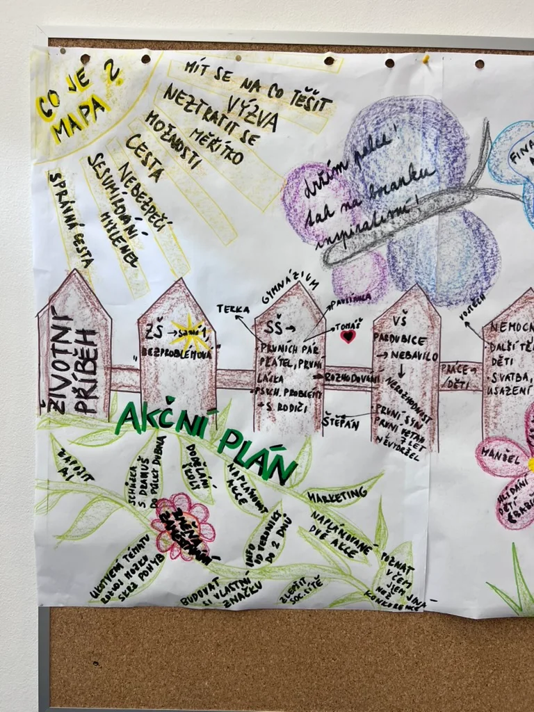 Když diagnóza není příběh: Metoda MAPA jako nástroj pro akční plánování s člověkem