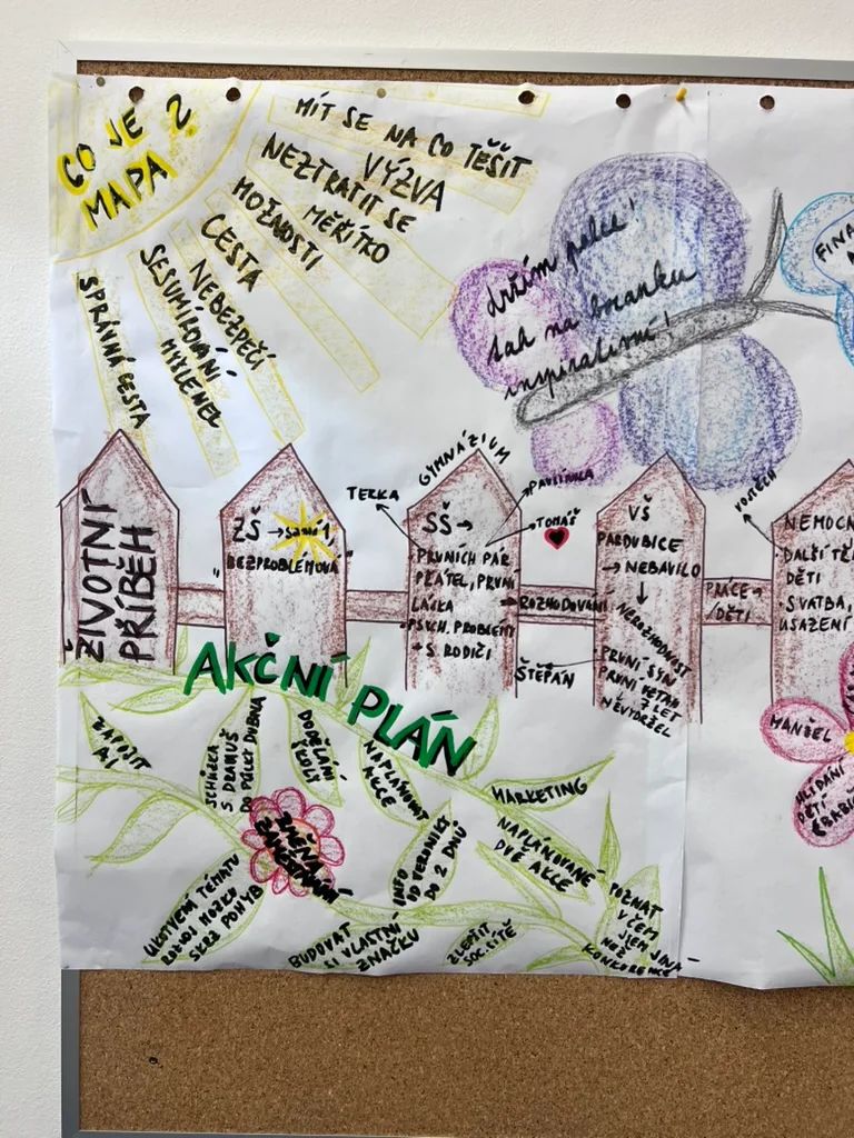 Když diagnóza není příběh: Metoda MAPA jako nástroj pro akční plánování s člověkem